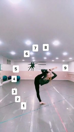 Desafio de Flexibilidade com Renata Schneider