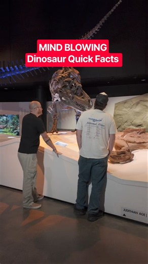 These dinosaur quick facts will blow your mind!