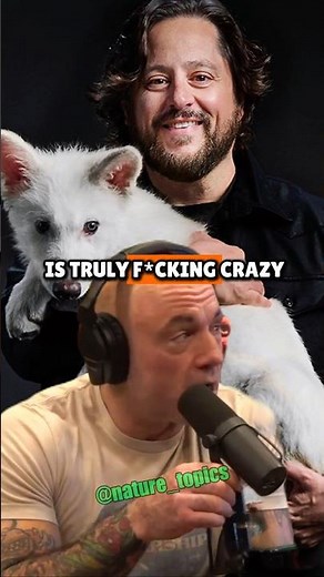 Incredible Dire Wolves Created by Scientists – Joe Rogan and Ben Lamm