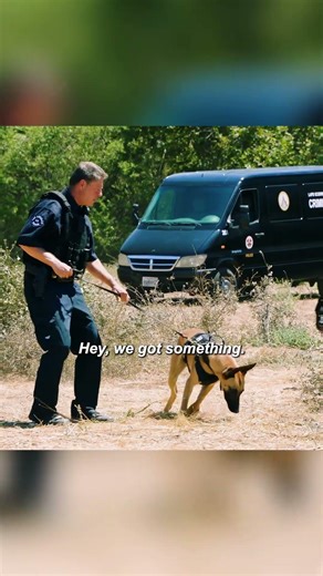 Do You Feel Guilty Eating a Burger? 😳 #therookie #lapd#tvshow