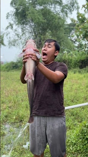 Kuras Sumur Tua Dapat Ikan Lele Monster Berat 5 Kg #lele #lelemonster #bolang #sibolang #petualangan