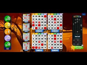 playing absolute bingo (fun 14)