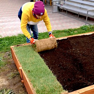 2.2M views · 18K reactions | Simple ways for backyard makeover on a budget ⛲️ | 5-Minute Crafts | Facebook