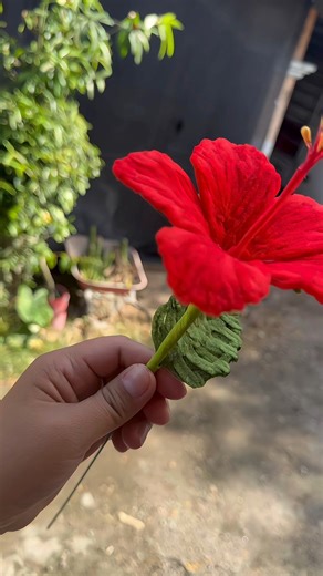 Tutorial on how to attach the stamen for making a hibiscus flower. #HibiscusStamen #FlowerMaking #FuzzyWireCraft #DIYCraftsPH #CraftSupplies #fypreelsシ゚viralシ #foryoupage #viralcraft #hibiscusflower | Craft Corner Jinkz