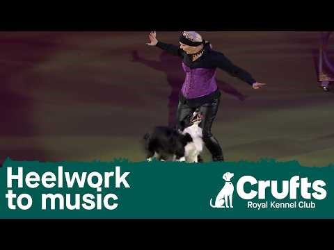Heelwork to Music Competition Winner | Crufts 2026