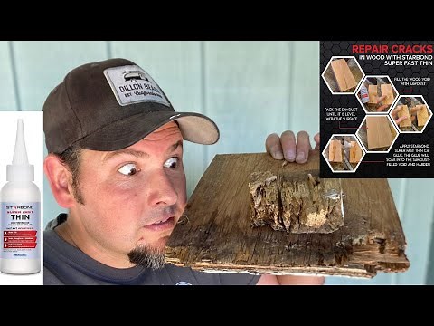 Dry Rot Repair Fast and Easy