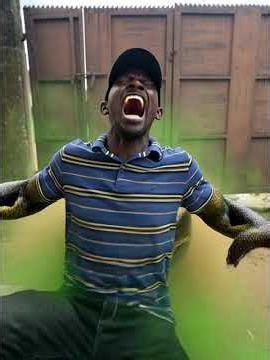 Transforming into a huge python