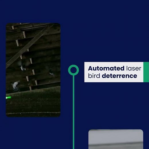 Birds Are Costing Your Facility Thousands—Take Control with AVIX #facilitymanagement