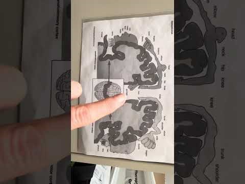 Shoulder recovery w/estim@Breathingthrough 