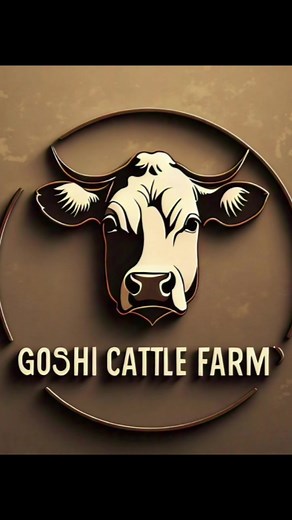 Silage Making Process at Goshi Cattle Farm