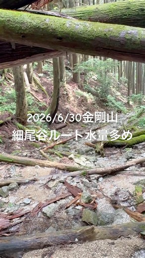2026/6/30金剛山 細尾谷ルート