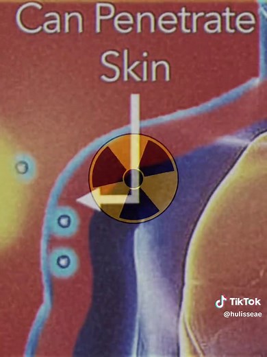 Understanding Nuclear Science and Radiation Effects