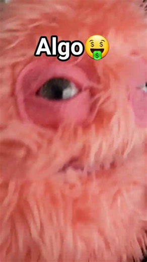 cuando me levanto con #humor epico