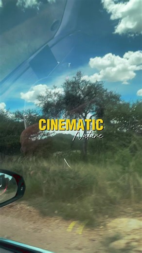 Namibia's Independence Timeline and LRC Camp Insights