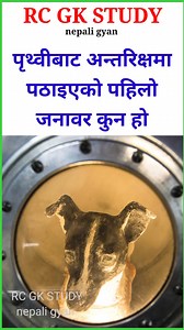 90K views · 2.2K reactions | Samanya gyan gk | loksewa questions and answers | interesting gk | quiz nepal | RC GK STUDY - nepali gyan | Facebook