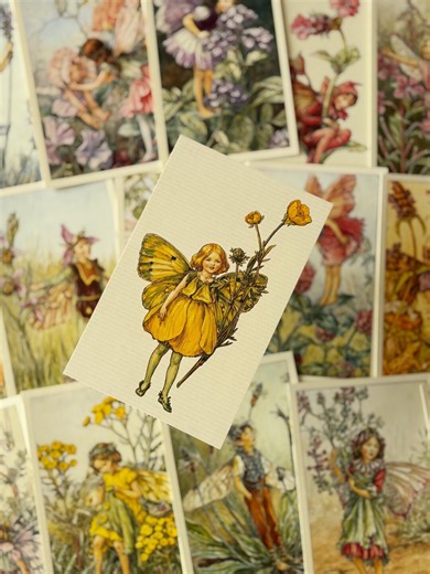 Flower Fairies of the Summer Postcards: Vintage Style Fairy Art Prints - Etsy UK