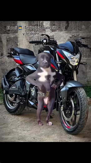 ★ ★ ★ #Meme #MemeCut #litarmente soy yo... #CapCut