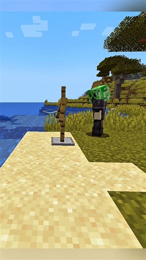 TIGON Gaming on Instagram: "Bedrock vs java edition glass block test ?? #Minecraft #reel"