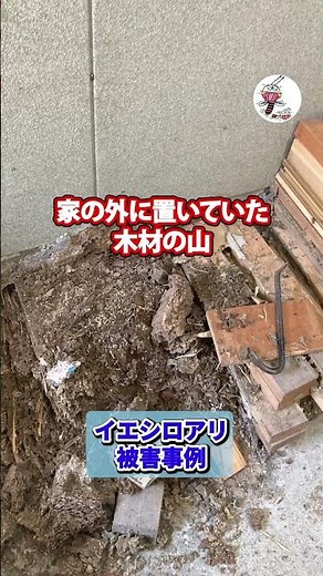 イエシロアリ被害事例