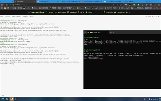 [pwn.college]AES-ECB选择明文攻击 intro-to-cybersecurity cryptography