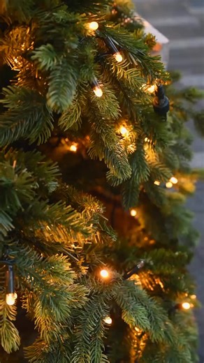 🔥🦌 New Drops Are Live! 🦌🔥 . Check out the latest additions featuring Vortex, Swarovski, Henry, and Canyon — plus more great options to explore. . Every purchase helps support what matters most: 🧒 Youth programs 🇺🇸 Veterans 🦌 Wildlife 🌱 Habitat conservation & restoration . Get in while these are available and support good work happening right here in Arizona. . #ArizonaElkSociety #SupportAZ #ConservationMatters #GiveBack #OutdoorLife SupportVeterans YouthInTheOutdoors | Arizona Elk Socie