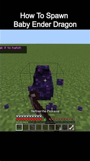 How To Spawn Baby Ender Dragon From Egg In Minecraft 🐣😲