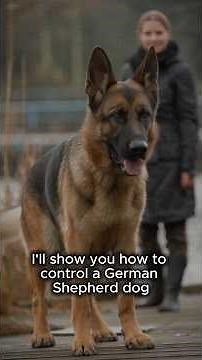 How to Control a German Shepherd Dog