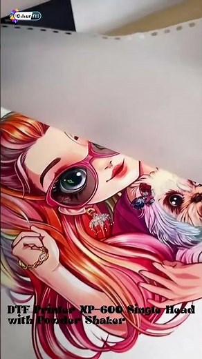 Colour Fill Present DTF Printer with XP 600 Single Head & Shaker – Ink Circulation System