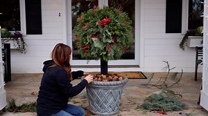 8.2M views · 14K reactions | DIY Lollipop Topiary for Christmas 殺 | Garden Answer | Facebook