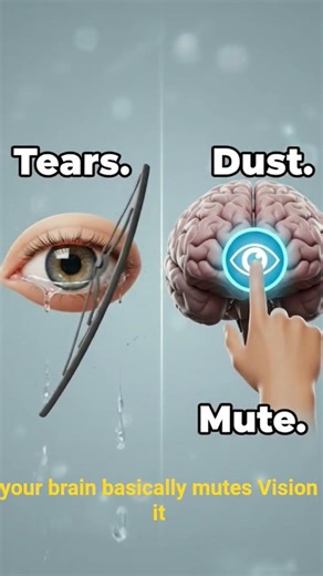 What Happened Inside Your Brain When You Blink?