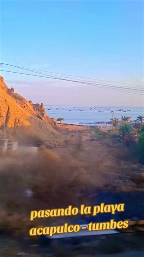Playa Acapulco Tumbes: guía y fotos de la palma en Acapulco, Tumbes