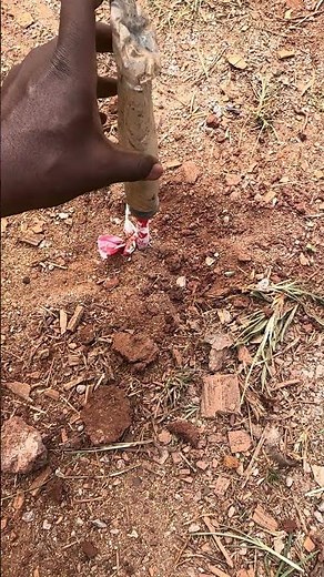 Fin étude géophysique SOA