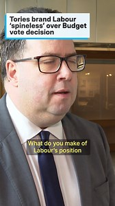 Tories brand Labour ‘spineless’ over Budget vote decision #shorts #politics #news | STV News