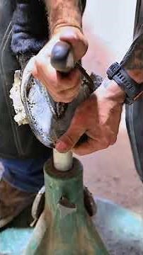 The Most Satisfying Horse Hoof Cleaning Ever Extreme Farrier Transformation
