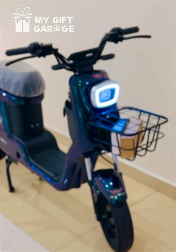 Heavy Duty Cargo Bike Review: 60 Km Range & 800 Watt Motor