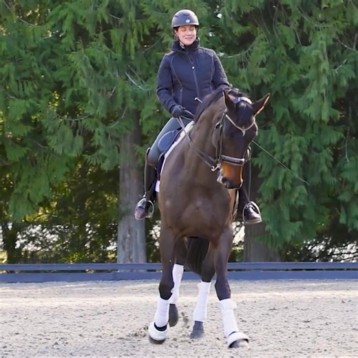 Honestly, the best prices of the season! 🖤Up to 20% off Fall & Winter Apparel 🖤Up to 75% off Clearance Styles 🖤$49 Fleece Lite II Knee Patch Tights *select colors 🖤$79 Power Stretch® Knee Patch Pocket Tight *select colors Sizes and colors are limited — shop early for the best selection! | Kerrits Equestrian Apparel