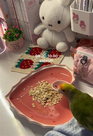 15 Effective Vacation Study Plans for Students