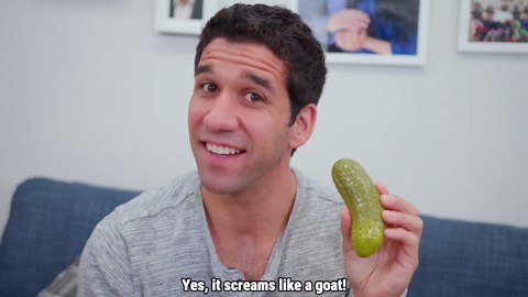 DR DINGUS Screaming Pickle - Original Goat Scream - Best Talking Noise Gag Gift for Kids and Adults - Funny Office Prank or Family Night