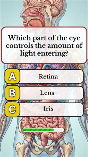 Test Your Brain! 🧠 Can you answer this? #quiz