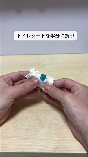 流せるトイレブラシの正解量はコレ！ダイソーでスッキリ収納✨