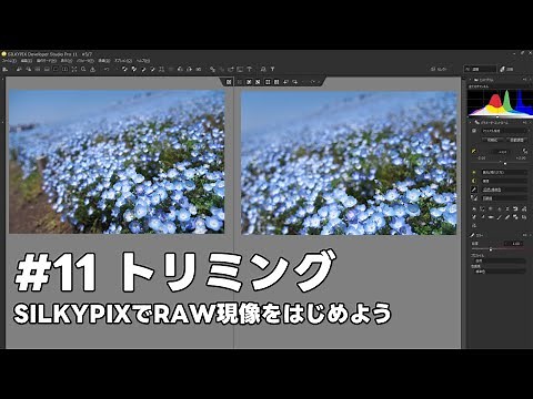 SILKYPIXでRAW現像をはじめよう #11 トリミング