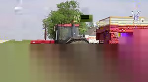 Het is misschien niet de beroemde '14' maar toch mag deze beer uit Neuss er ook zijn met zijn unieke Inter soundtrack uit de onmiskenbare uitlaatpijp. Melkveebedrijf Buijert uit Emmeloord gebruikt hun exemplaar nog volop. Een hardwerkende youngtimer. CASE IH / Case international 1056 & 1455xl / Case ih 1056xl / International tractors / Schuitemaker | Agrifoto