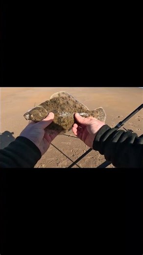 Summer Beach Fishing | Northumberland