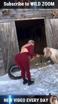 19 Rare Animal Clips That Will Leave You Speechless! 😲