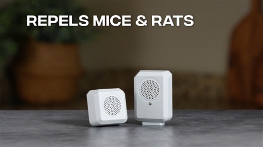 Mini size, mighty rodent protection. Victor PestChaser Rodent Repellers emit ultrasonic frequencies that humanely send mice and rats scurrying. Shop now: https://bit.ly/3f4vv9J | Victor Pest