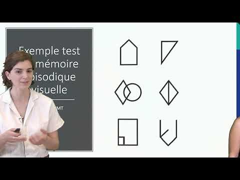 Les fonctions cognitives