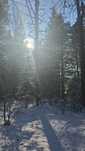 Winter in Tarvis #travel #nature