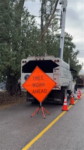 Northshore Tree Experts Inc. on Reels