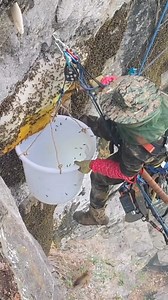 13K views · 211 reactions | Ever wondered what goes on inside a beehive  Follow along as I journey into the fascinating world of beekeeping! #beekeeping #savethebees #honeybees #naturelover #beekeep | Beehub Reely | Facebook