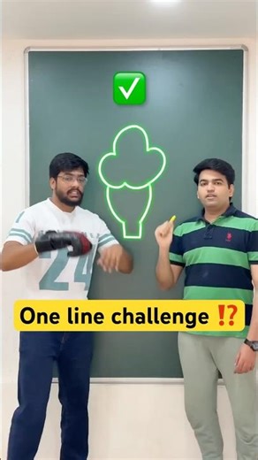 One Line Drawing Challenge! Can You?161